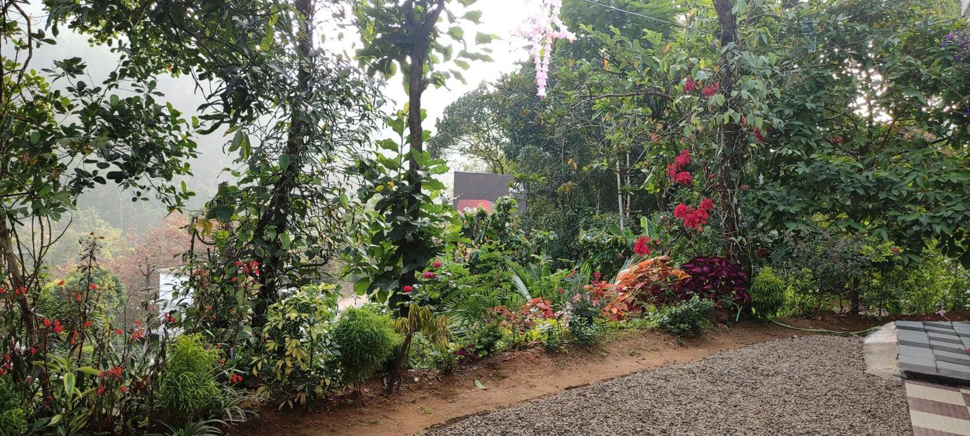 Koonamparayil Home Stay Munnar Anaviratty-Family Only Luaran gambar