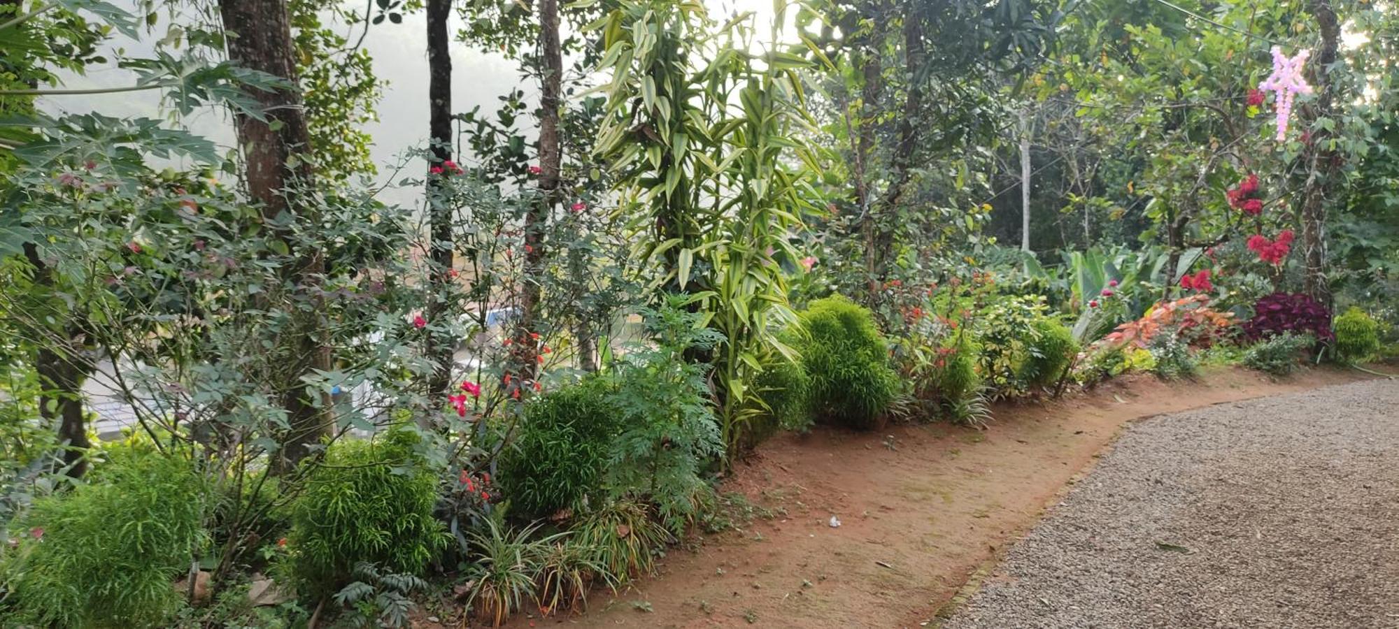 Koonamparayil Home Stay Munnar Anaviratty-Family Only Luaran gambar
