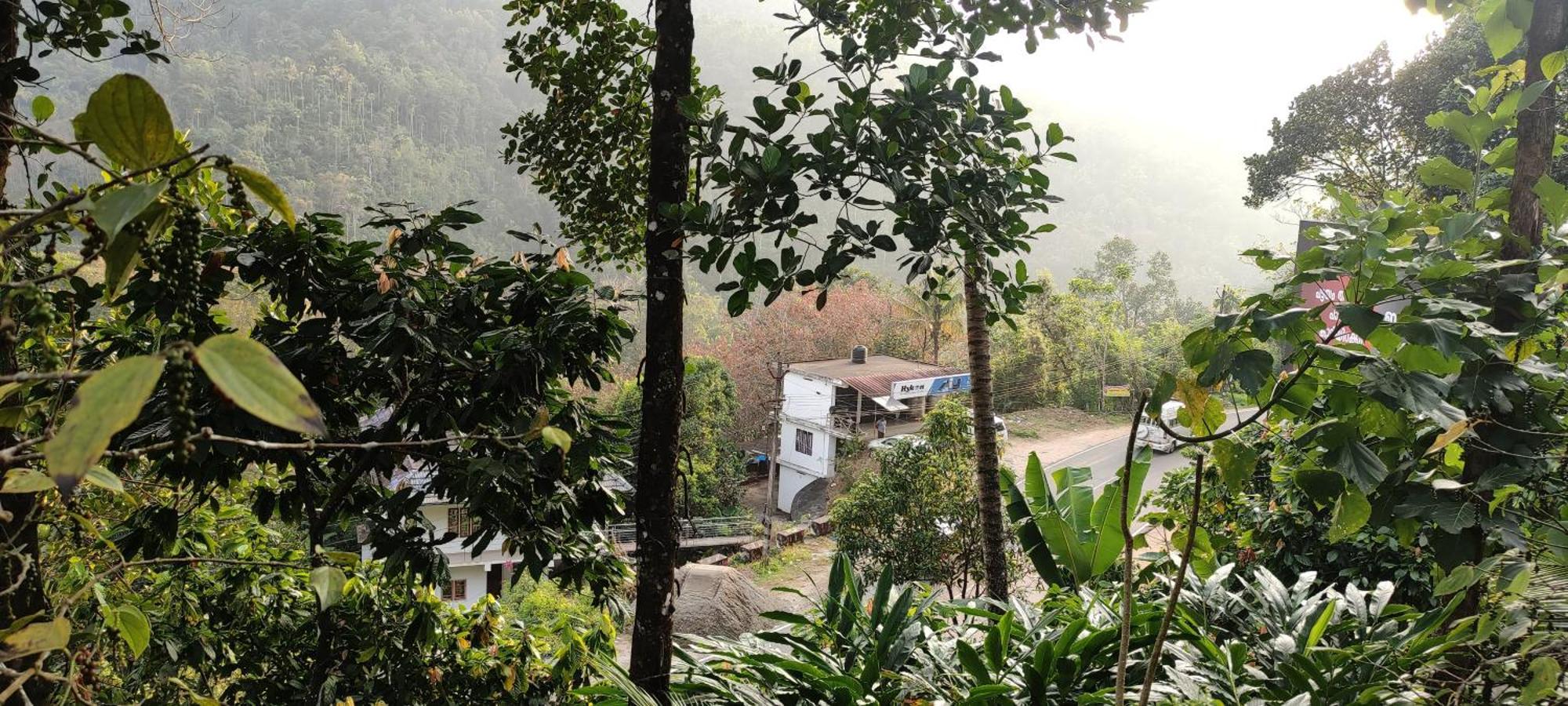 Koonamparayil Home Stay Munnar Anaviratty-Family Only Luaran gambar